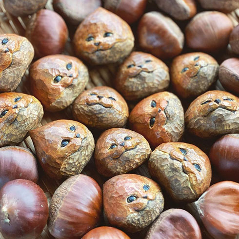 ネコノ農園の作品・猫の顔した栗