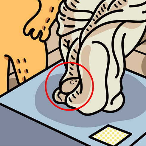 画像内テキスト