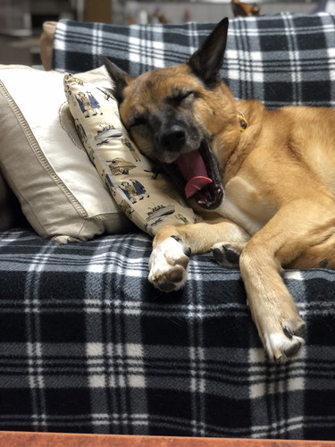 あくびをするスパイクくん