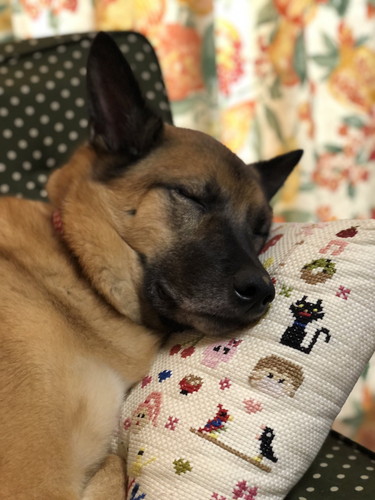 すやすやスパイクくん