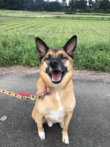 笑顔のスパイクくん