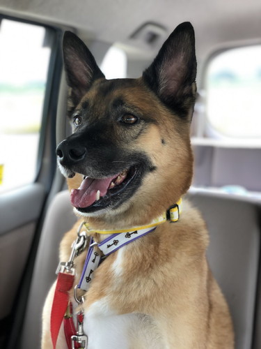 笑顔のスパイクくん