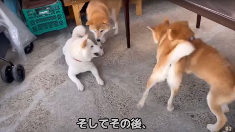 そしてその後テロップ