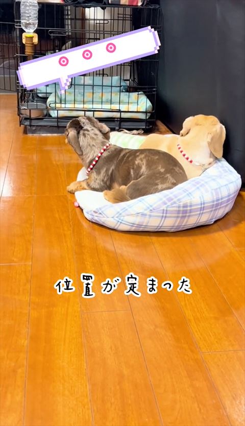 位置が定まったテロップ