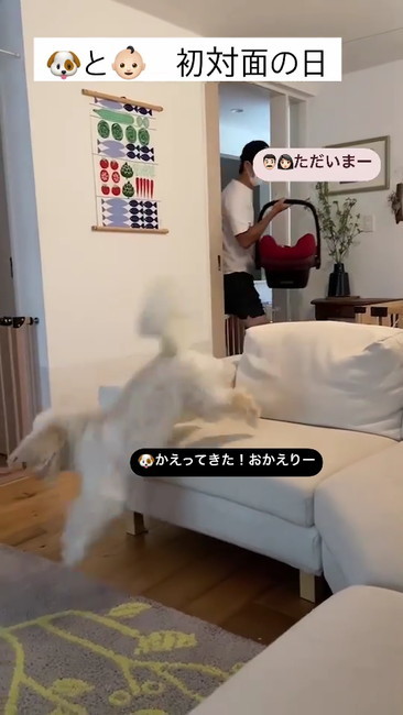 ソファからジャンプ