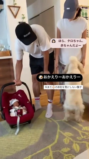 赤ちゃん気にしない