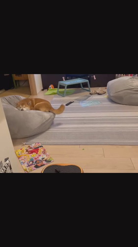 寝ながら尻尾フリフリこたろうくん