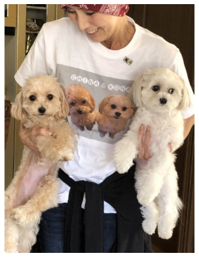 犬とたわむれる秋野暢子