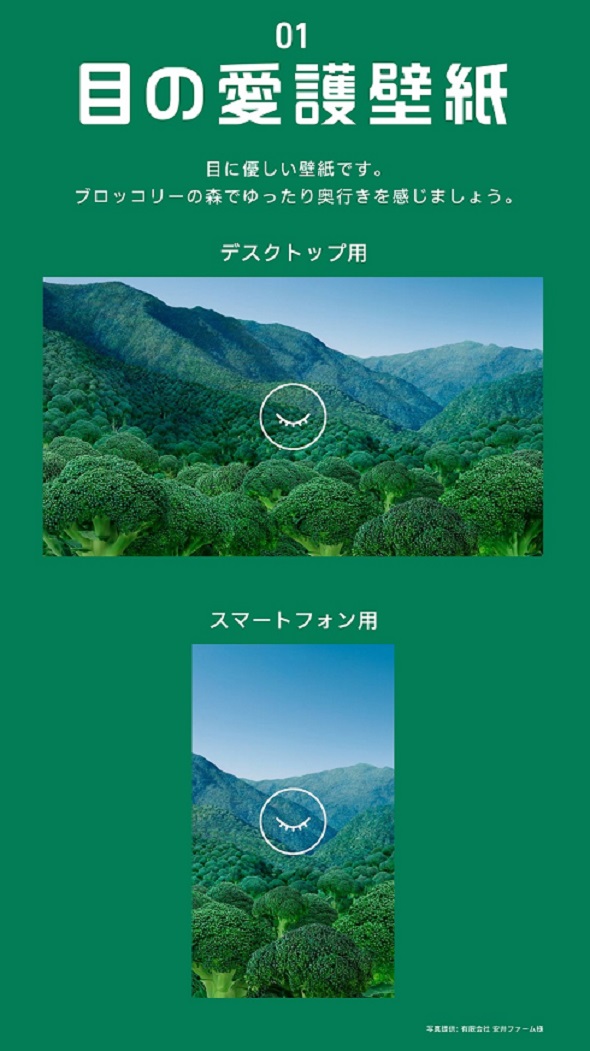 ロート製薬　目の愛護車両