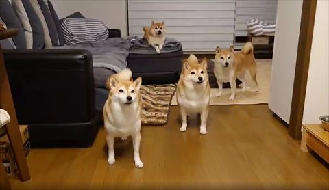 右上を見つめる