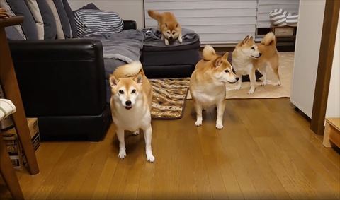 奥の子ジャンプ前