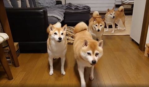 奥の子手前まで来る