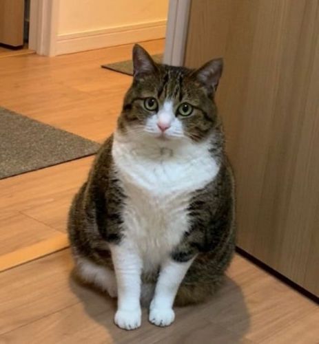 おすすめ