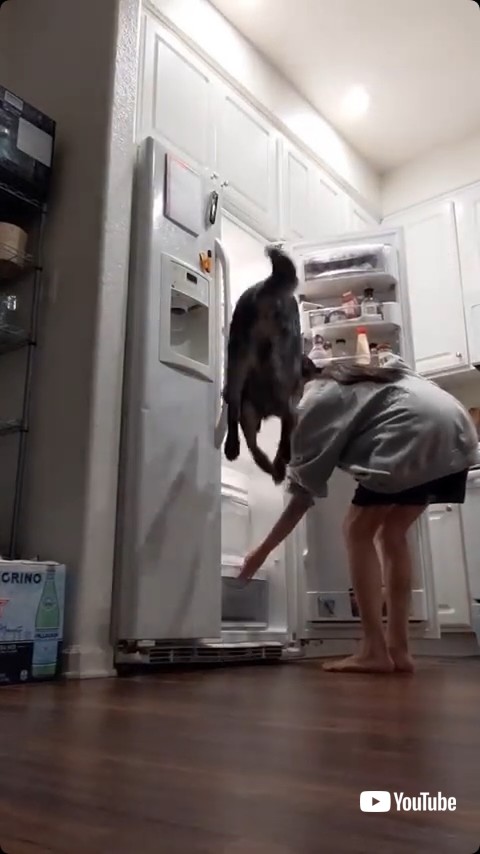 興奮してジャンプ