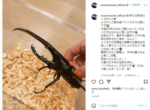 佐々木希が家族に迎えたヘラクレスオオカブト