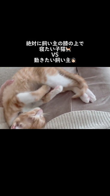 そーっと下ろす