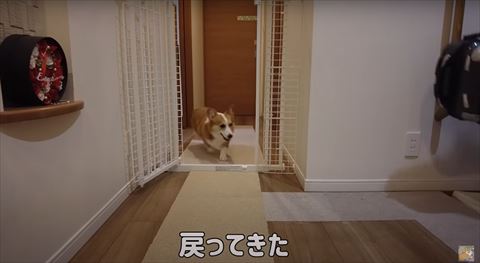 戻ってきたテロップ