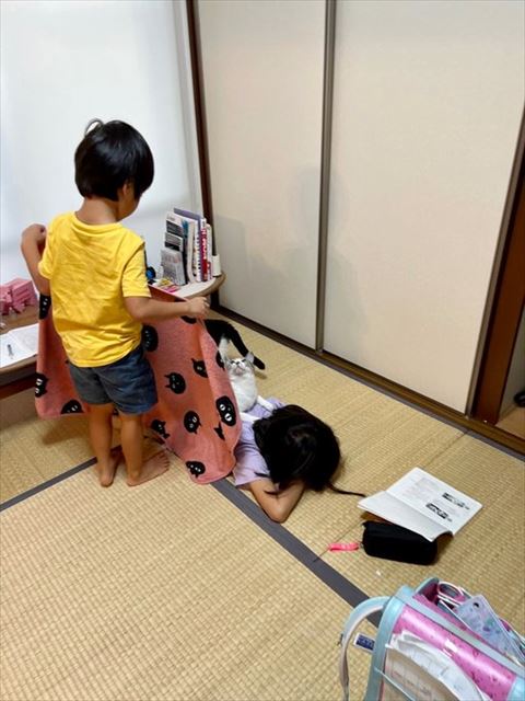 ブランケットをかける男の子