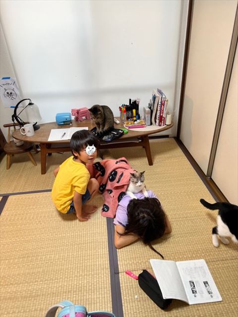 カメラ目線の男の子