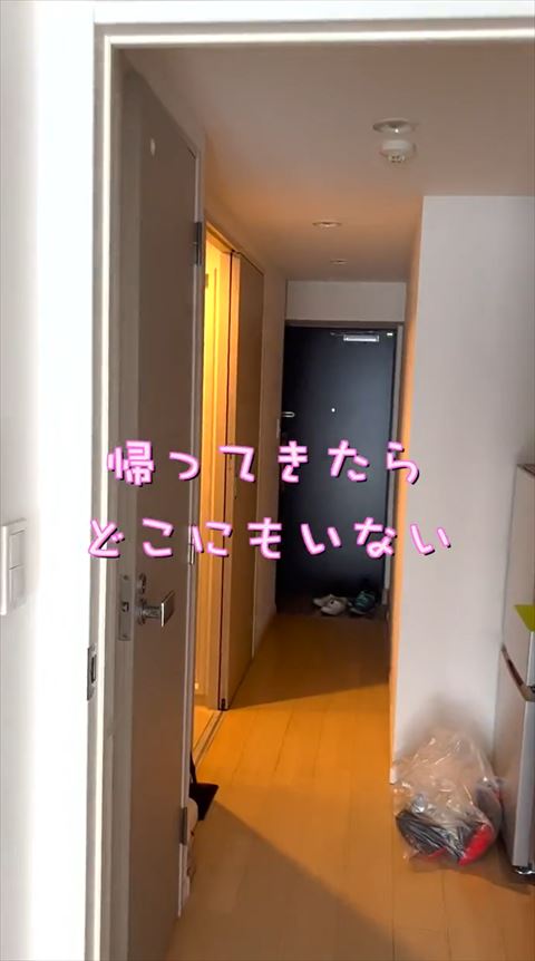 帰ってきたらどこにもいない猫のテロップ