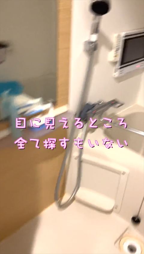 全て探すもいない猫のテロップ