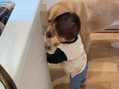 キッチン下の引き出しを覗き込むふたりの画像