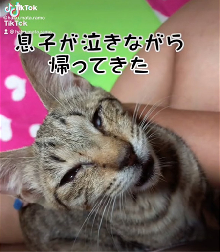 オススメ