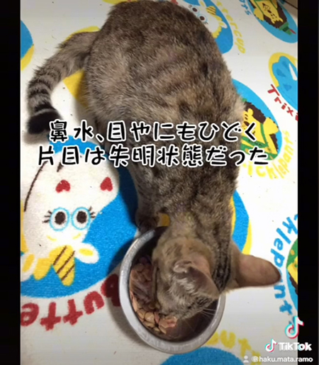 失明状態でした