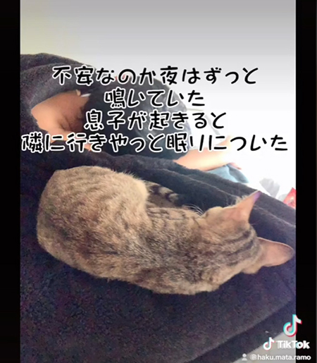 不安だったのか