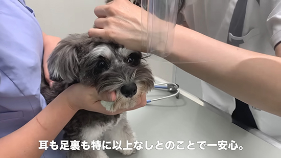 顔周りをみてもらう