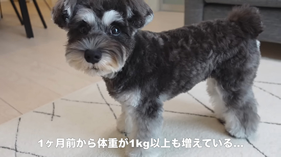 1キロ以上増えていた