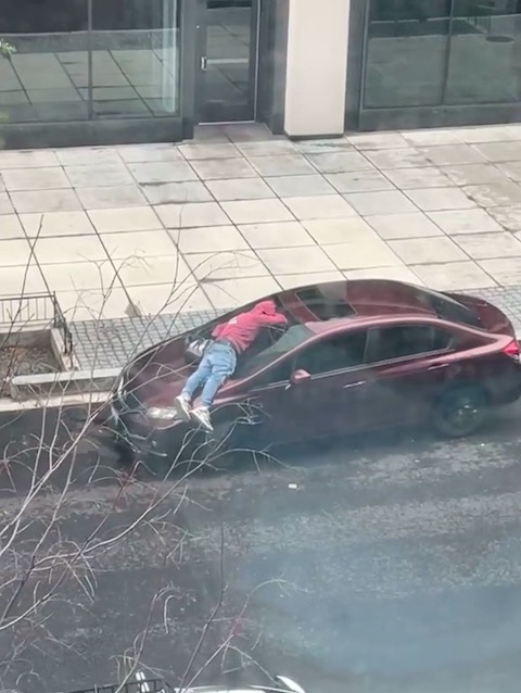 アメリカ ワシントン ボンネット 人 男性 寝転ぶ 乗せたまま