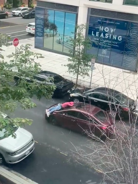 アメリカ ワシントン ボンネット 人 男性 寝転ぶ 乗せたまま