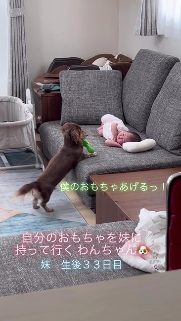 おもちゃあげる