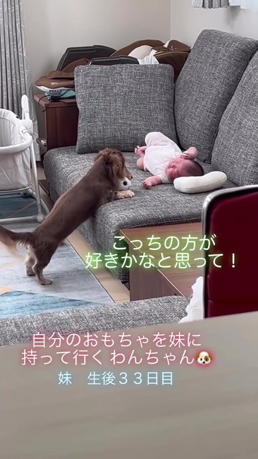 こっちの方が好きかな