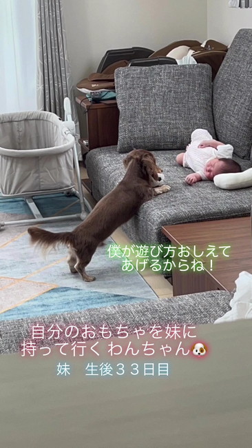 遊び方教えてあげる