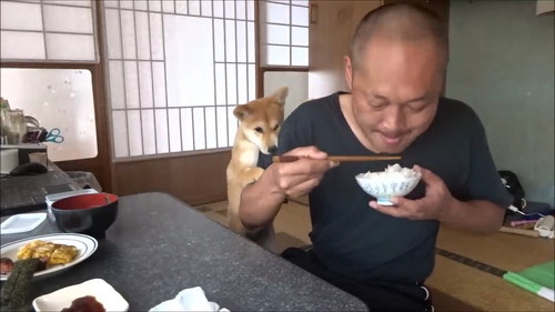 遊んでという顔