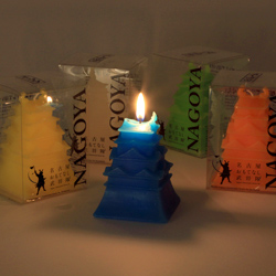 名古屋城キャンドル・燃えているところ