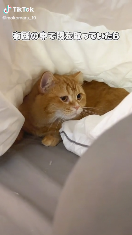 暖を取っていたら