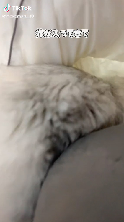 妹が入ってきて