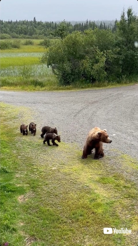 家族仲良く散歩