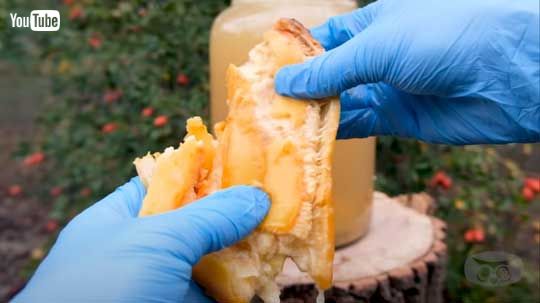 バナナ 水につけたまま 放置 230日 変化 動画