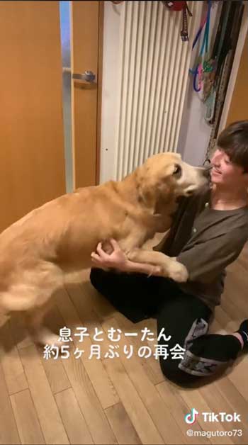 お兄ちゃんと再会して喜ぶゴールデンレトリバー