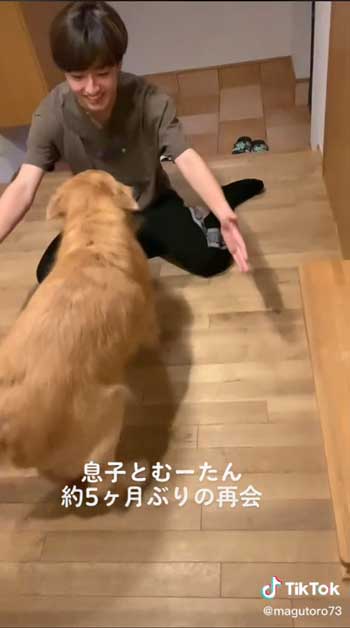 お兄ちゃんと再会して喜ぶゴールデンレトリバー