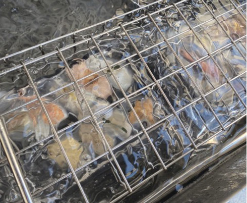 妊娠中の開発者が提案したお寿司「加熱寿司」　加熱基準を満たしているので生ものNGでも食べられる