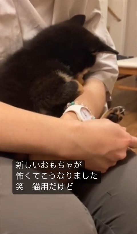 顔をうずめるワンコ斜め後ろから