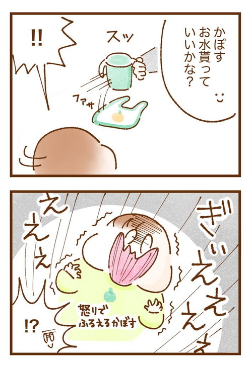 かぼすちゃんとすだちちゃん