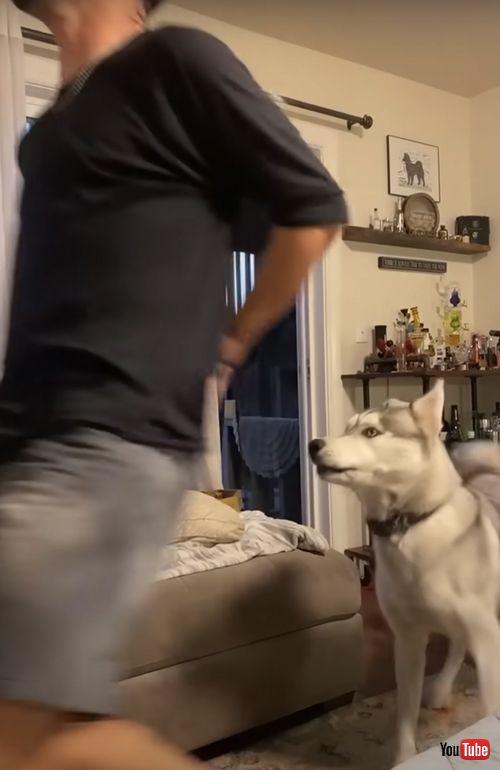 怒りが爆発するワンコ