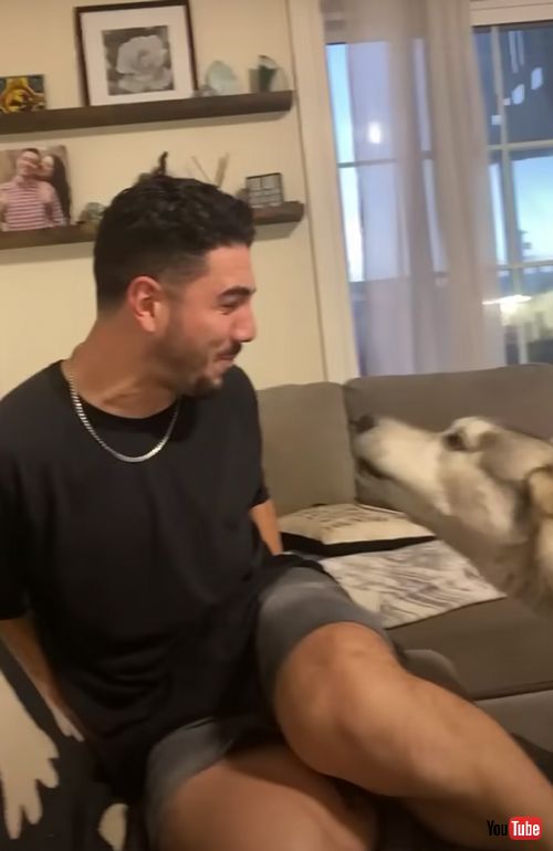 怒りが爆発するワンコ