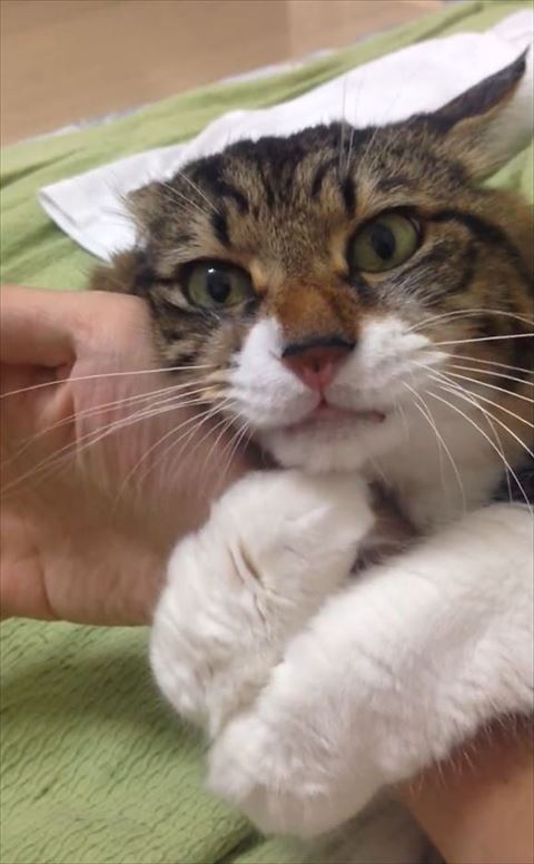 抱きつきながら正面